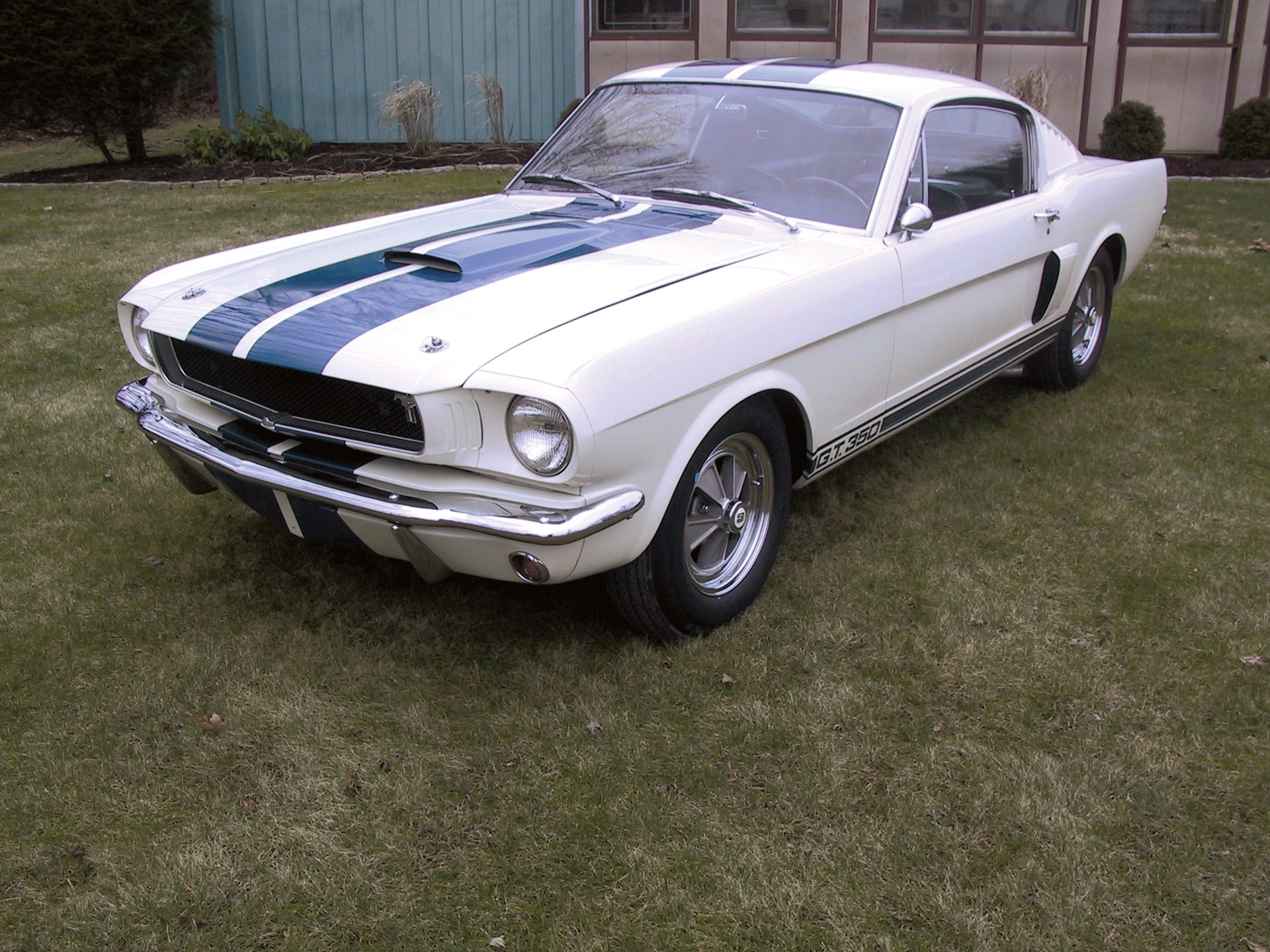 1965 Shelby GT350 