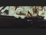 BC40EL driven by Jay Kay during the Love Foolosophy music video.
