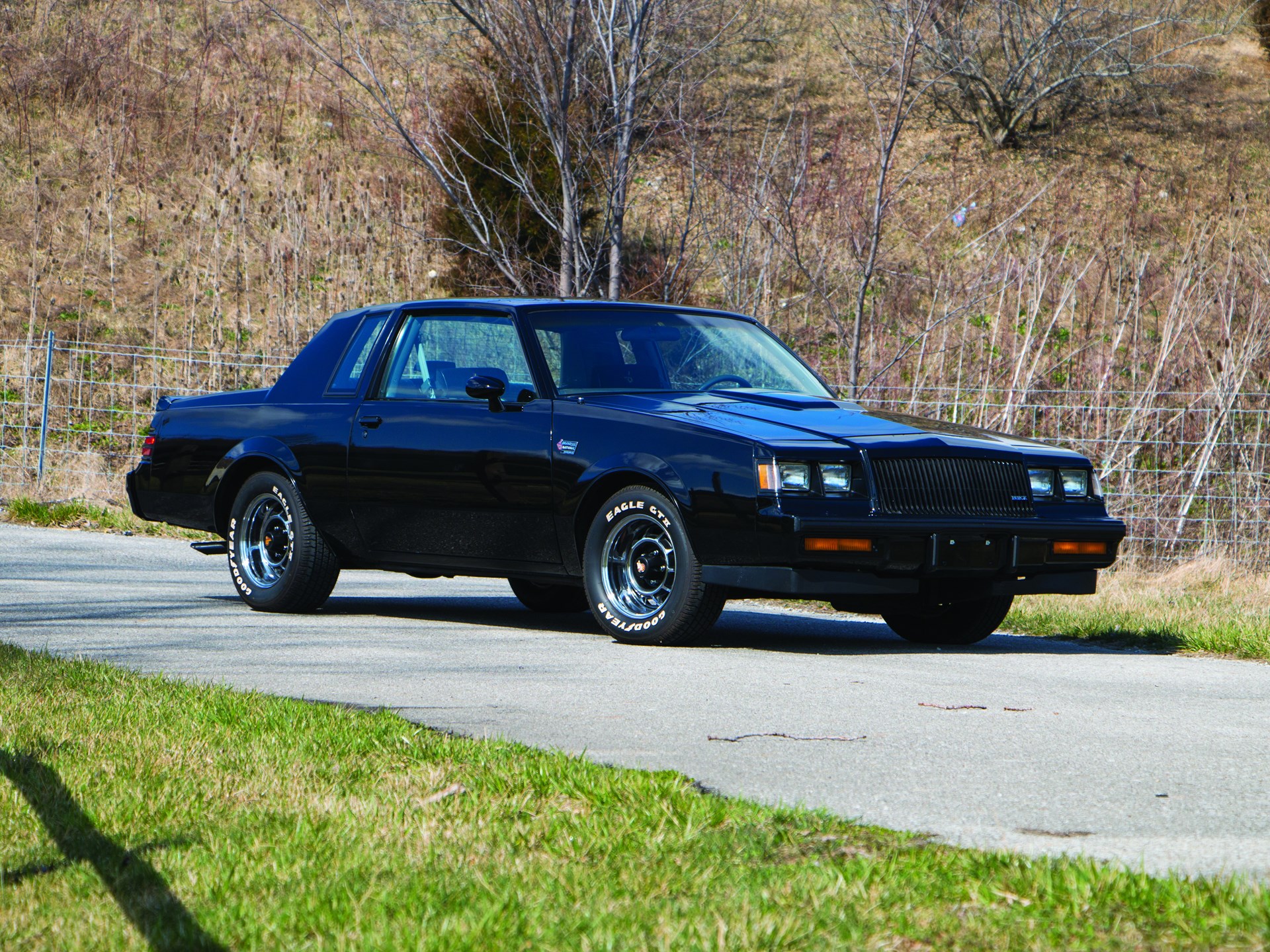 1987 Buick Regal Auburn Spring 2016 RM Sotheby's