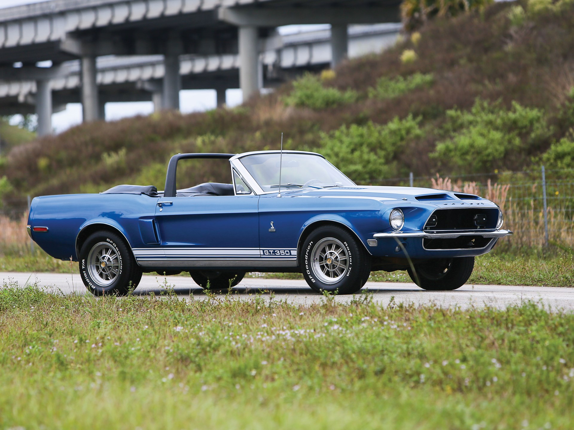 Shelby gt350 1968