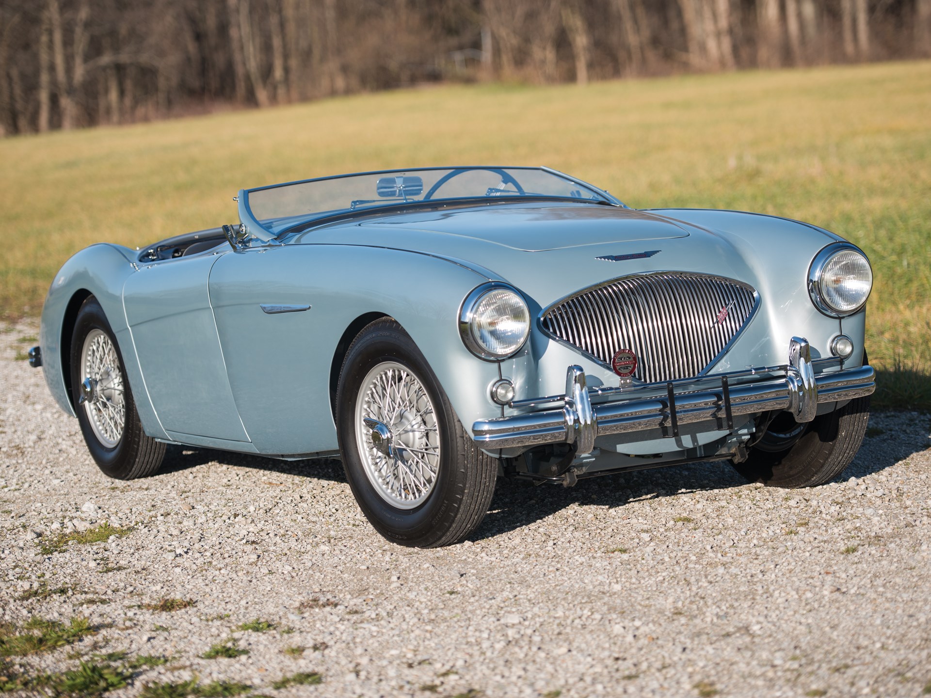 1955 Austin Healey 100