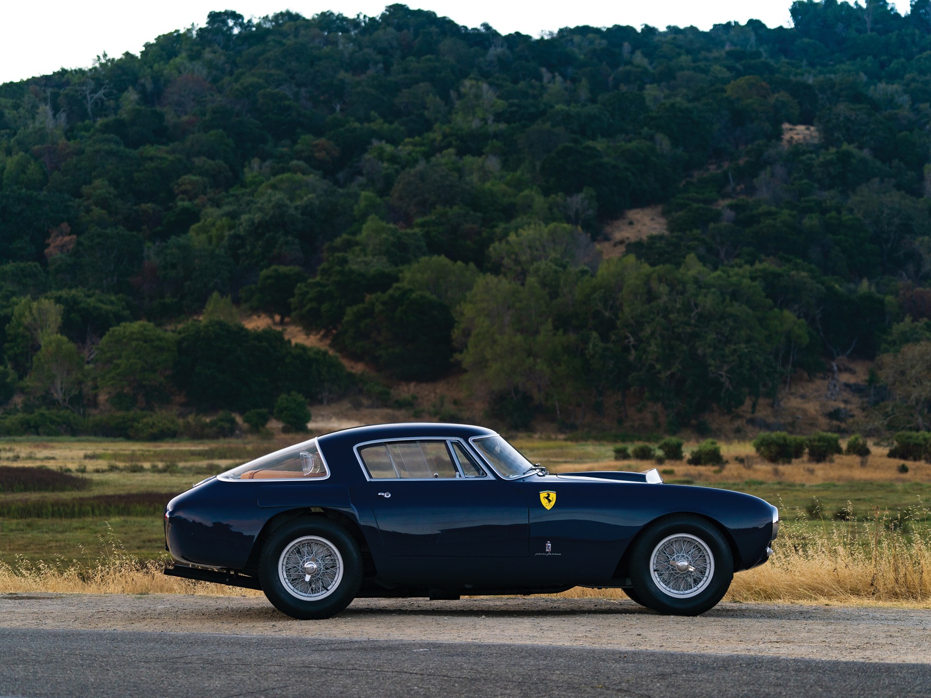 ferrari 250 mm