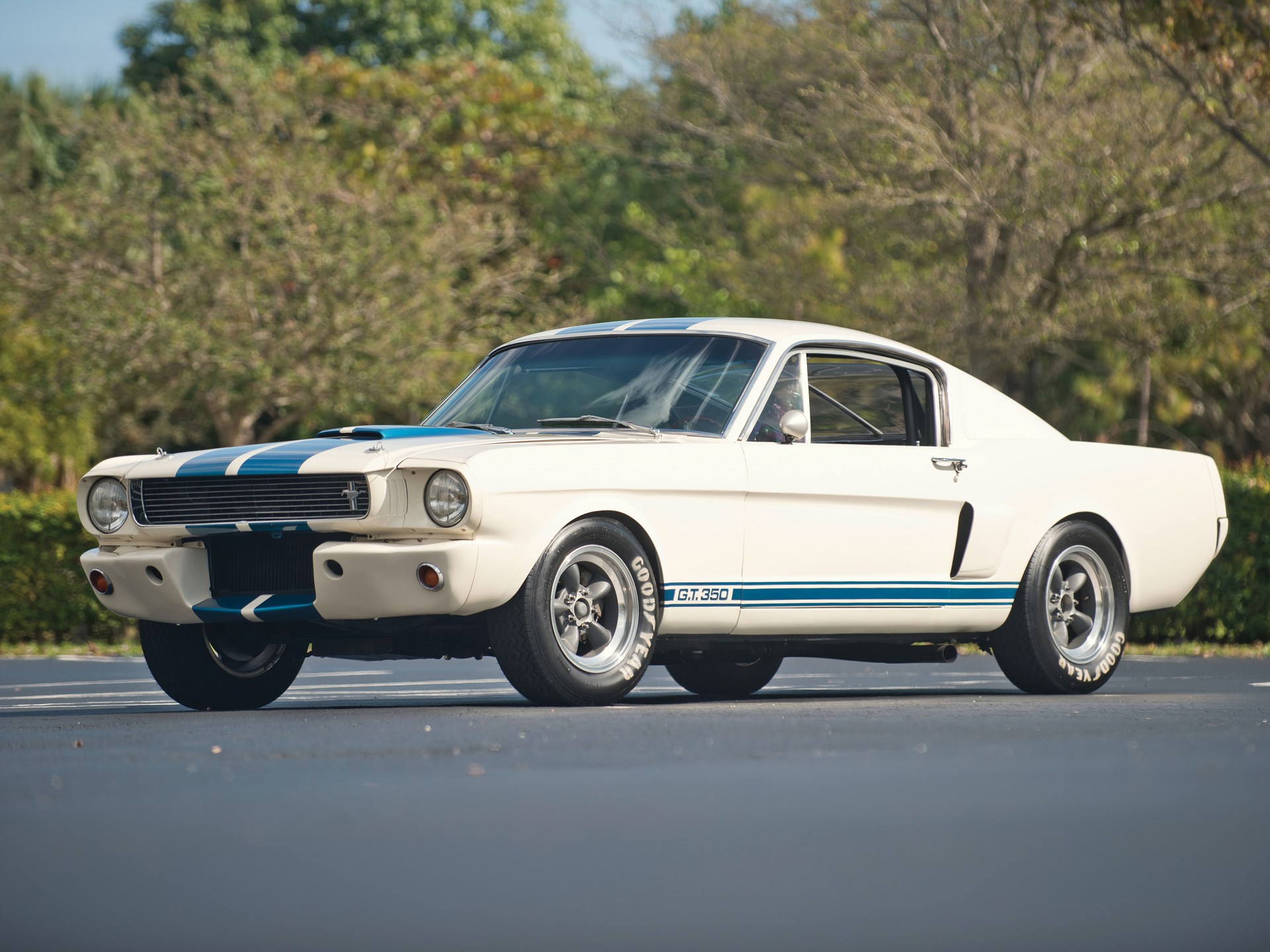Shelby Mustang gt350 1965